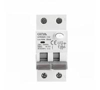ZBJGBUIA GYR9NM 2P 1P+N 40A 6KA RCBO Electromagnetic AC Type Residual Current Circuit Breaker with Over Protection(2P 25A,300mA)