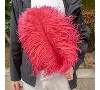 ZBORAVPIX Colorful Feathers for Crafts, Natural Craft Feathers Red Wine Color 10-12 Inch，10pc