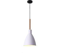 ZBZFGE 1, Pendant Light - Chandelier Minimalist Personalized Chandeliers Adjustable Retro Pendant Light Single Head Fixtures