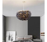 ZBZFGE Chandeliers, Nordic Feather Chandelier Pendant Lamp for Bedroom Living Dining Room Decoration Led Ceiling Hanging Light(G,Diameter 30cm)