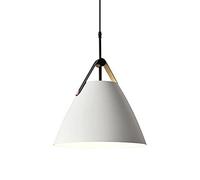 ZBZFGE Chandeliers, Nordic Minimalist Style Chandelier, Creative Metal Hanging Colored Belt Single Head Pendant Lamp, Ceiling Light, Bar Club Decoration Lighting Fixture Color White Size : 36cm