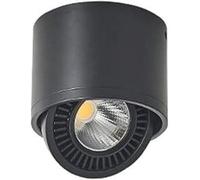 ZBZFGE Led Mounted Single Spotlight Adjustable Cob Fixture Guest Exhibition Hall Lamp Aisle Porch Background Wall Small,Pendant Ceiling Light