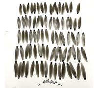 ZCDYGHU For K12 MAX Drone Propeller 64mm Blades Props for Protect Maple for Leaf for Guard Part for RC K12MAX Quadcopter(40A 40B blades)