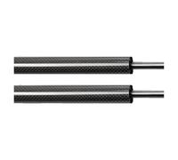 ZCera Boot Struts Shocks For Nissan 350Z Z33 Coupe 2003-2009 With Factory Rear Spoiler Boot Gas Struts Springs Dampers Tailgate Lift Supports Rear Tailgate Dampers(Black carbon fiber)