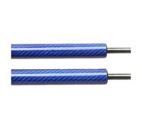 ZCera Boot Struts Shocks For Nissan 350Z Z33 Coupe 2003-2009 With Factory Rear Spoiler Boot Gas Struts Springs Dampers Tailgate Lift Supports Rear Tailgate Dampers(Blue carbon fiber)