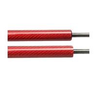 ZCera Boot Struts Shocks For Nissan 350Z Z33 Coupe 2003-2009 With Factory Rear Spoiler Boot Gas Struts Springs Dampers Tailgate Lift Supports Rear Tailgate Dampers(Red carbon fiber)