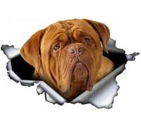 ZCHZCS 13cm Pet Dog Gift Dogue De Bordeaux Car Sticker 3D Torn Metal Original Design Vinyl Car Trunk Bumper Custom Brand Decal