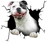 ZCHZCS 3d Funny Smiley Dog Car Window Decal Waterproof Cute Pet Puppy Vehicle Sticker Auto Accessory PVC,26cm*26cm