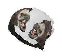 Zcmkjlg Funny Donkey Winter Neck Gaiter Multifunctional Beanie, Double Layer Face Mask Scarf for Outdoor Sports Black