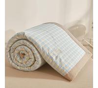ZCXRYFL Cooling Duvet Summer Thin Quilt Single Double King Lightweight Blanket, Cotton, Soft Breathable, For Air-Conditioned Nap Time Rooms Hot Sleepers, Washable(180X200cm,A)