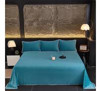 ZCXRYFL Soft Plush Flat Sheet Thick Warm Bedding Single Double Queen King Bed Sheet Mattress Blanket Solid Color Decorative Sheets, Skin Friendly Breathable, Washable(Pillowcase：48X74cm,Blue 2)