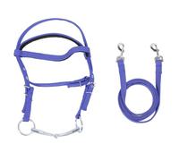 ZCZDHNA Horse Bridle Rein | Adjustable Nylon Headstall & Training Rein for Horses | Robust Equestrian Tack for Riding Control/Training/Show (Small (13x15cm, Need 3 3A Battery))