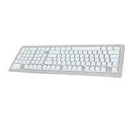 ZDETGU 130-Key PBT Pudding Keycaps for Mechanical Keyboards - OEM Height Translucent Double Layer Design (Blue)