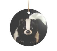 ZDFHKYDY Cute Skunk -Print Acrylic Pendant Gold Lanyard Round Shape Christmas Acrylic Ornaments, Lightweight Reusable,For Weddings, Parties Retail Displays.