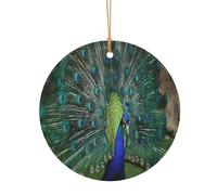 ZDFHKYDY Green Peacock Feather -Print Custom Round Aluminum Pendants - Double-Sided Print, Pre-Drilled Hole For Crafting & Events.
