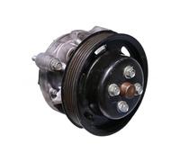 ZDGYG Water Pump Compatible for Aston Martin Rapide/DB9/DBS 2008 2009 2010 2011 2012 2013 2014 2015 4G43-05-10957 Second Hand Parts