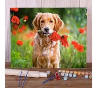 Zdklfm69 Paint by Numbers Painting by Numbers Paint by Number Animal Dog Kit Acrylic Paints Canvas Pictures Wall Paintings For Adults Handicraft (No frame) 40x50cm