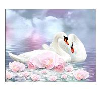 Zdklfm69 Paint by Numbers Painting by Numbers Paint by Number Swan Animal DIY kits For Adults On Canvas With Oil Picture Drawing Coloring By Number (No frame) 40x50cm