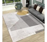 ZDLLDZ Light Luxury Nordic Living Room Area Rugs Machine Washable Soft Non Slip Carpet Bedroom Decoration Teenager Lounge Rug 120x150cm/47x59in