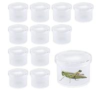 ZDNT 12Pcs Magnifying Insect Container Bug Viewer Insect Cage Bug Catcher Bug Magnifier Container Insect Magnifier Bug Catcher for kids Plastic Insect Boxes for Kids Science Nature Exploration