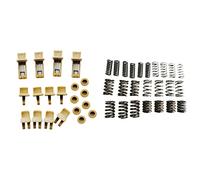ZDSFSD 1Set 6DCT450 MPS6 Auto Clip Kit&Shock Spring Kit for Mondeo Transmission Clutch Repair Parts