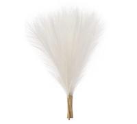 ZDSFSD 5Piece Faux Pampas Grass,18In/45Cm Artificial Pampas Grass 5 Stem for (White)