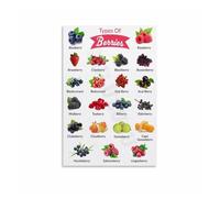 ZDVHOMCB Berries of the World Poster, Canvas Wall Art Print, Fruit Chart for Kitchen, Grocery, Food Education, Cafe, Home Office Decor Unframed,12x18inch(30x45cm)