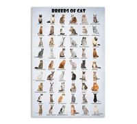 ZDVHOMCB Cat Breeds of The World Poster - Illustrated Guide Chart, Funny Educational Wall Art for Cat Lovers, Kids Room, Veterinary Office Decor(Framed,08x12inch(20x30cm))