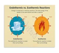 ZDVHOMCB Chemical Reactions Poster Endothermic Exothermic Processes Canvas Wall-Art Educational Chart for Science Classroom and Home School Framed,12x18inch(30x45cm)