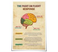 ZDVHOMCB Fight or Flight Response Poster, Brain Diagram Wall Art for Mental Health Awareness, Trauma Therapy Education, Calming Bedroom Office Decor Unframed,16x24inch(40x60cm)