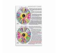 ZDVHOMCB Holistic Health Reference Poster - Iridology Eye Chart Knowledge Guide, Educational Wall Art for Home, Study, or Consultation Room Framed,08x12inch(20x30cm)