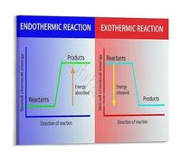 ZDVHOMCB Learn Thermodynamics Poster Endothermic and Exothermic Reactions Canvas Wall-Art for Science Room Library and Study Space Unframed,08x12inch(20x30cm)