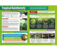 ZDVHOMCB Rainforest Ecosystem Poster - Comprehensive Guide to Layers, Animals, Plants & Climate, Environmental Science Wall Art for Teachers, Students, Kids Room Framed,16x24inch(40x60cm)