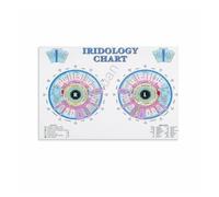 ZDVHOMCB The Human Iris Chart: Guide to Iridology Zones - Canvas Art Print for Holistic Health Study, Classroom, Curiosity Decor(Framed,12x18inch(30x45cm))