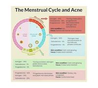 ZDVHOMCB Womens Hormone Cycle Chart Menstrual Phase Guide Educational Science Poster for Biology Class Framed,20x20inch(50x50cm)