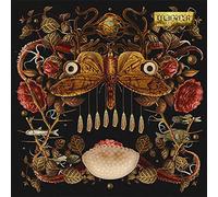 Ze in the Clouds - Magical [VINYL]