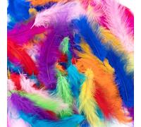 ZEACCT 300 Pcs Natural Goose Feathers, Feather for Crafts, Feathers Dream Catchers, Mixed Colors Craft Goose Feathers, Colorful Craft Feather, for DIY Dream Catcher Carnival Decorations