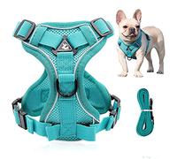 ZEACCT No Pull Dog Harness and Lead Set, Front Clip Vest, Soft Mesh Reflective Breathable Pet Dogs Leash Rope, Adjustable Step-In Cat Training for Small Big ( M ), Lake Blue