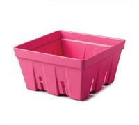 Zeal Melamine Fruit & Salad Box Neon Pink