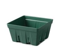 Zeal Melamine Large Berry Box Forest Green