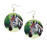 Zebra And Giraffe Leather Round Earrings Daily Accessories Working At Work Women'S Fashion