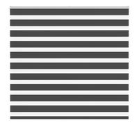 Black Zebra Window Roller Blinds Day And Night Vision Dual Layer Multiple Sizes