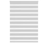 Light Grey Zebra Window Roller Blinds Day And Night Vision Dual Layer MultiSizes