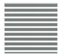 vidaXL Zebra Blind Dark Grey 155x100 cm Fabric Width 150.9 cm Polyester