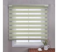 Zebra Blinds Roller Shades Blackout Curtain for Window,Double Layer Sheer Window Treatment Privacy Light Control Roller Blind for Living Room Office (Light Green,150x150cm)