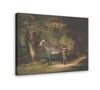 Zebra By George Stubbs Canvas Art Poster And Wall Art Picture Print Modern Family Bedroom Decor Frame 24x36inch(60x90cm)