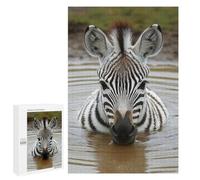 Zebra Foal in Water Puzzle for Adults, 1000 PCS, Illustrated Jigsaw Edition, Classic Jigsaw Entertainment for The Home, at Home