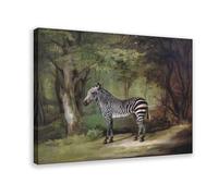 Zebra in The Jungle Canvas Poster Wall Art Print Picture Paintings 12x18inch(30x45cm)