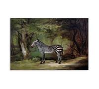 Zebra in The Jungle Canvas Poster Wall Art Print Picture Paintings 24x36inch(60x90cm)