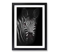 Zebra in The Shadows in Abstract Framed Print | A2 Black Framed Wall Art | Ready to Hang | Abstract Animal Picture | Living Room Bedroom Lounge Office